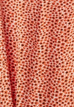 ESPRIT Light - Jurk - Orange/Red New -Esprit 4aa6096b2ac14d789ab6cb6dd0053493